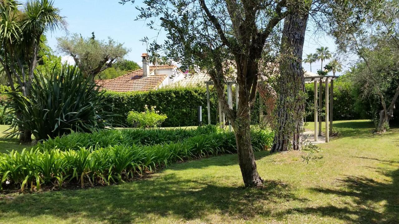 Green Cap D'Antibes Dış mekan fotoğraf