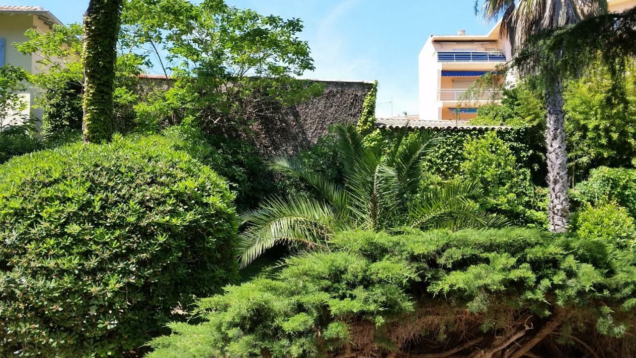 Green Cap D'Antibes Dış mekan fotoğraf